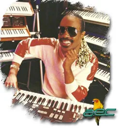 Stevie Wonder